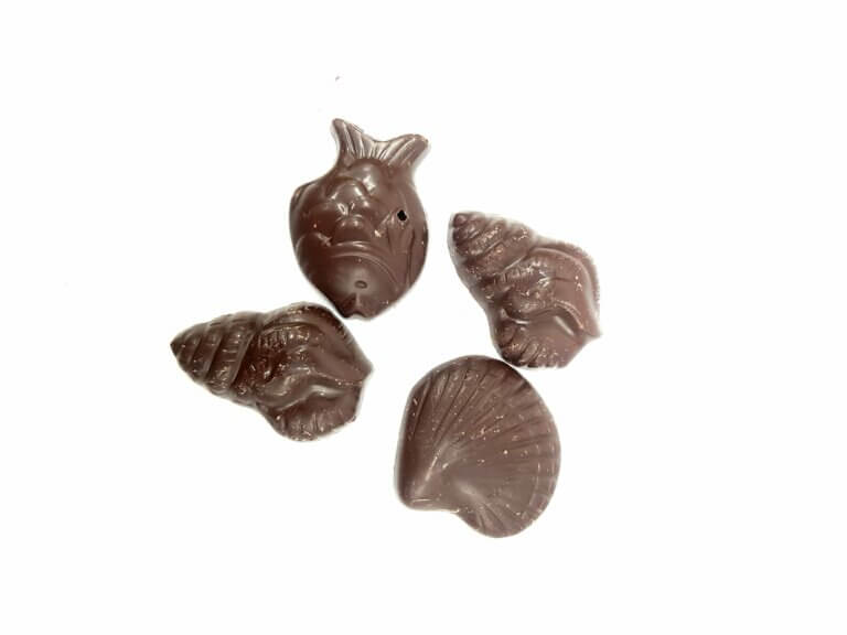 Ballotin de chocolats poisson