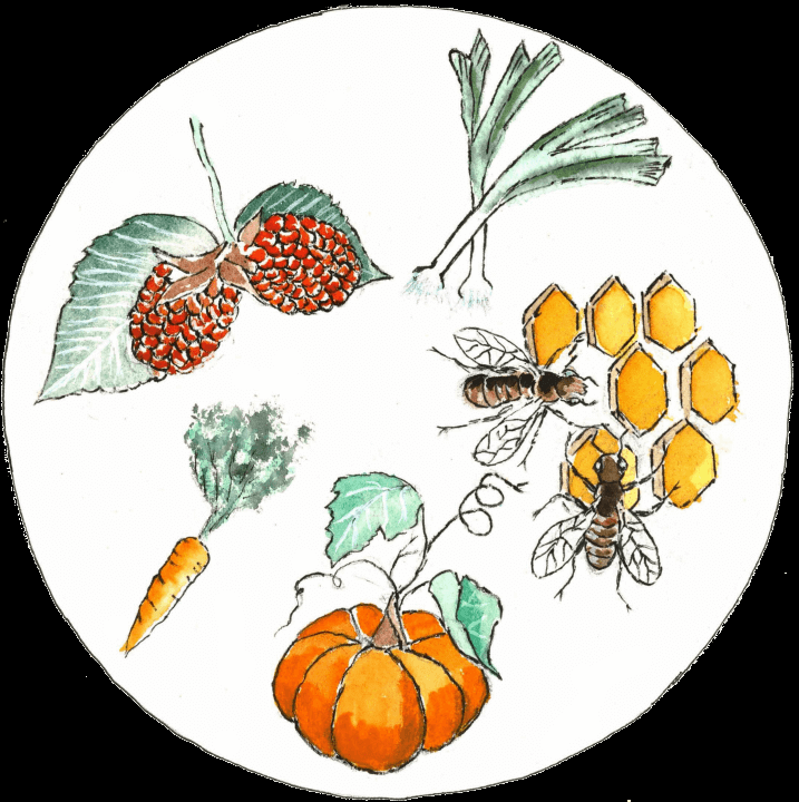 Jardin du Vent de Bise